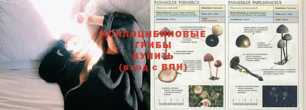 COCAINE Рославль