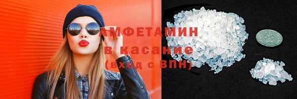 шишки Белоозёрский